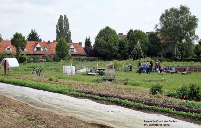 ferme du chant des cailles